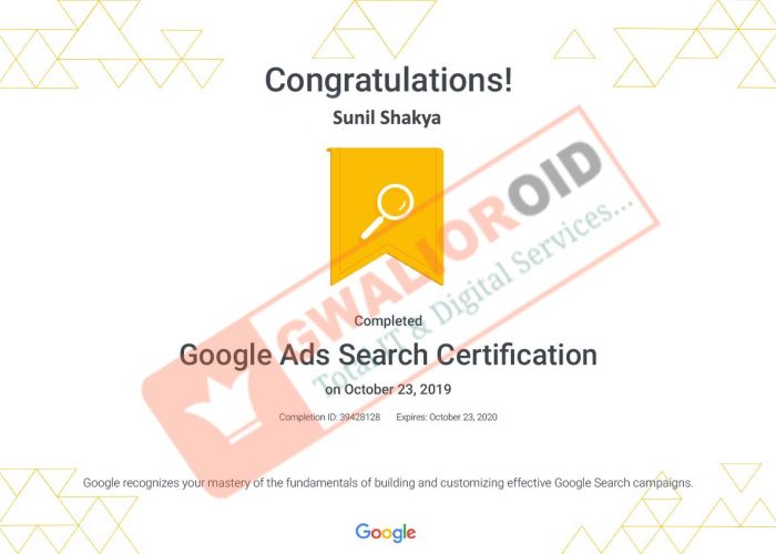 Google Ads serch certification