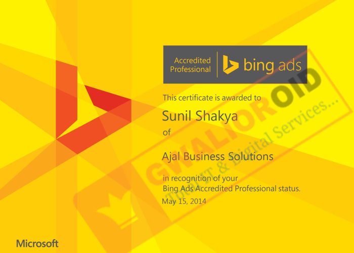 Microsoft Bing Ads Professional